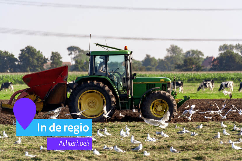 Tractor rijdt tussen meeuwen. Linksonder staat de tekst In de Regio. Achterhoek