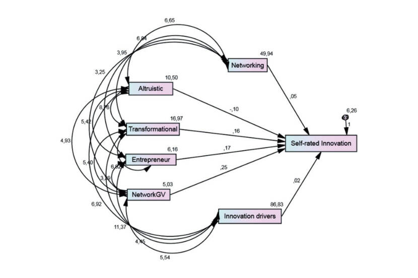 Network governance-model