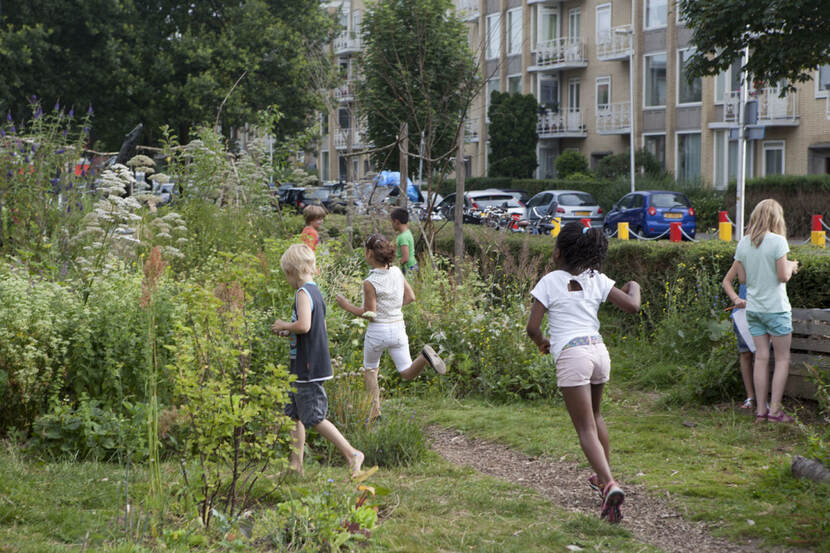 Kinderen in natuurspeeltuin