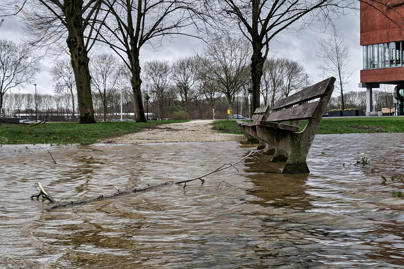 foto van een overstroomd park