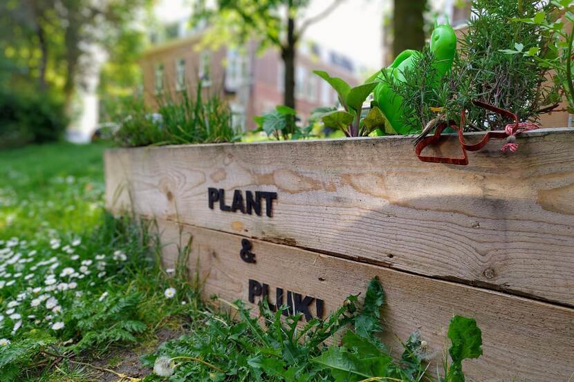 Rand plantenbak