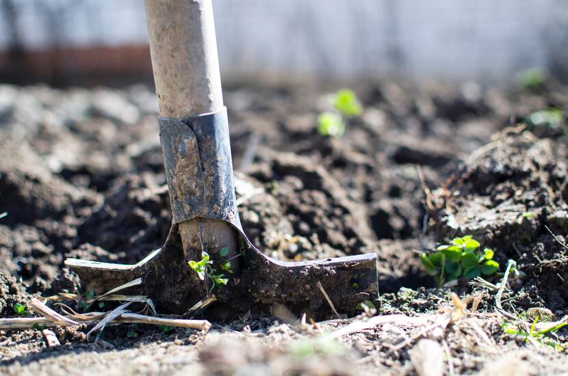 Een schep staat in de aarde met kleine plantjes eromheen