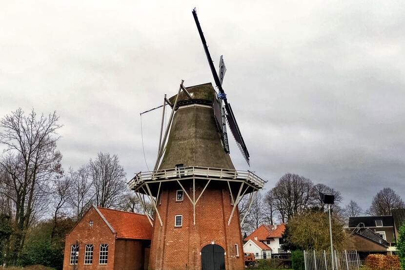 Molen