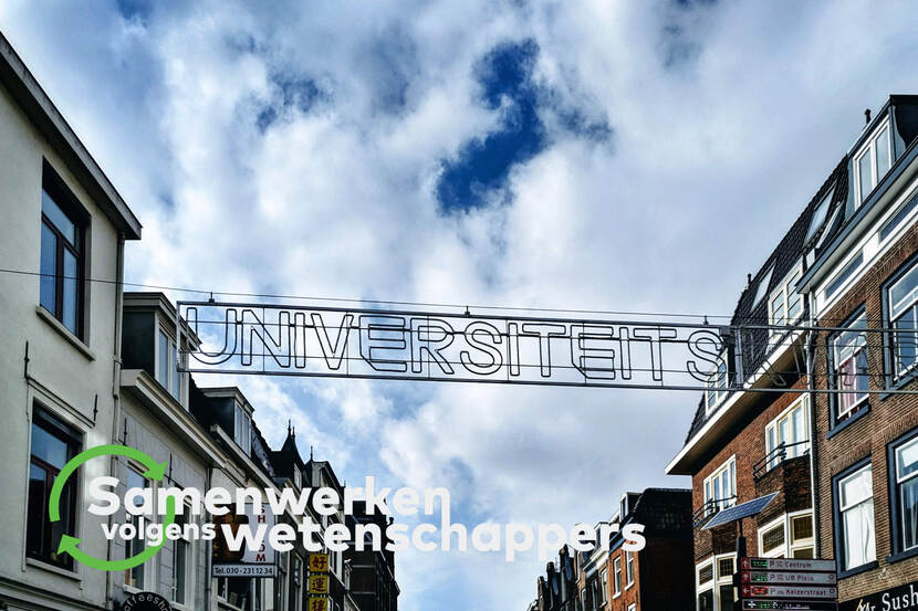 Samenwerken volgens wetenschappers beeldmerk