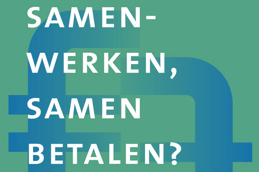 Kaft publicatie 'Samen werken, samen betalen'