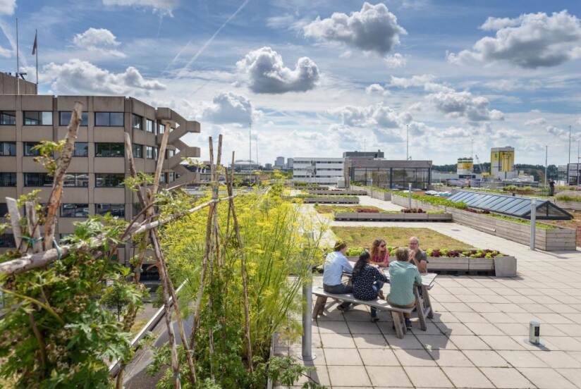 Shot van campus met mensen aan tuintafel