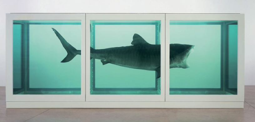 The Physical Impossibility Of Death In The Mind Of Someone Living  - Damien Hirst