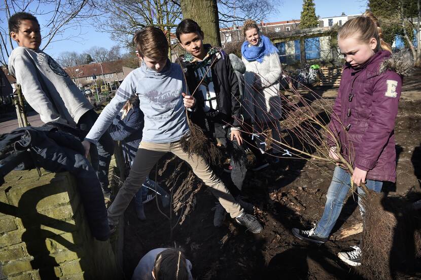 ZaanIJ beeld def