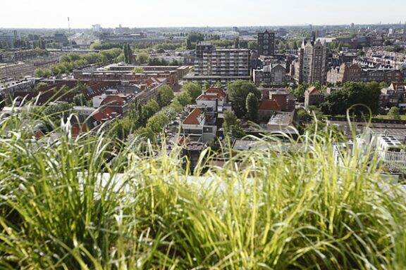 Foto van de stad met groen in de voorgrond