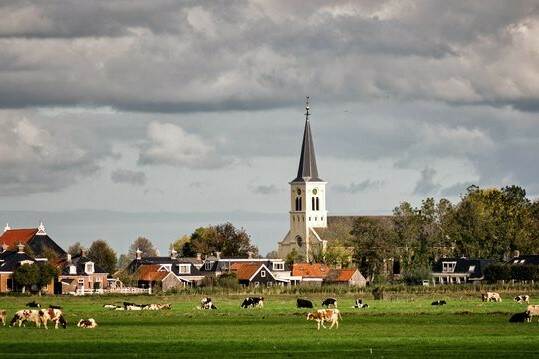 Weiland, koeien en dorp op de achtergrond